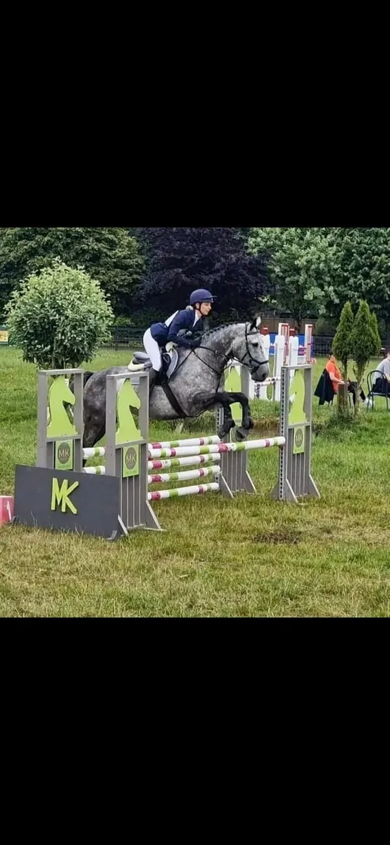 Perfect Allrounder - Image 2