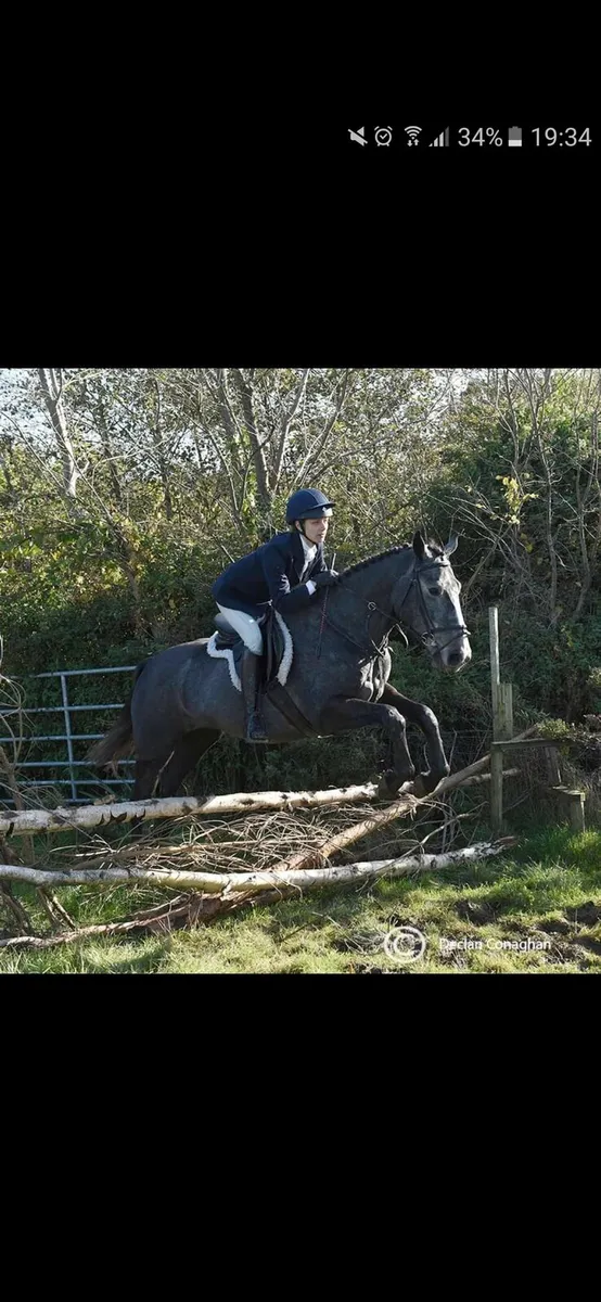Perfect Allrounder - Image 3