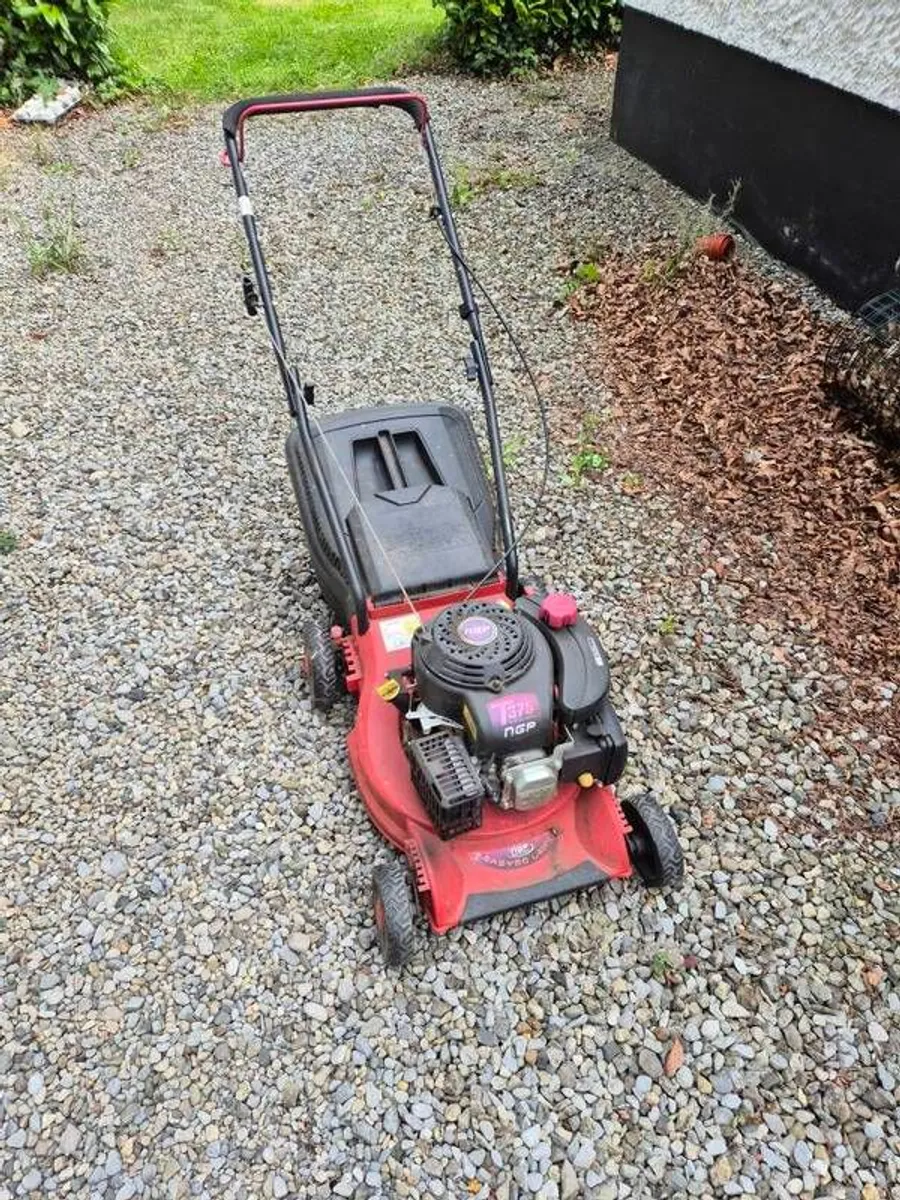 Ride on Mower (Needs work) and Push Mower (Running grand). - Image 1