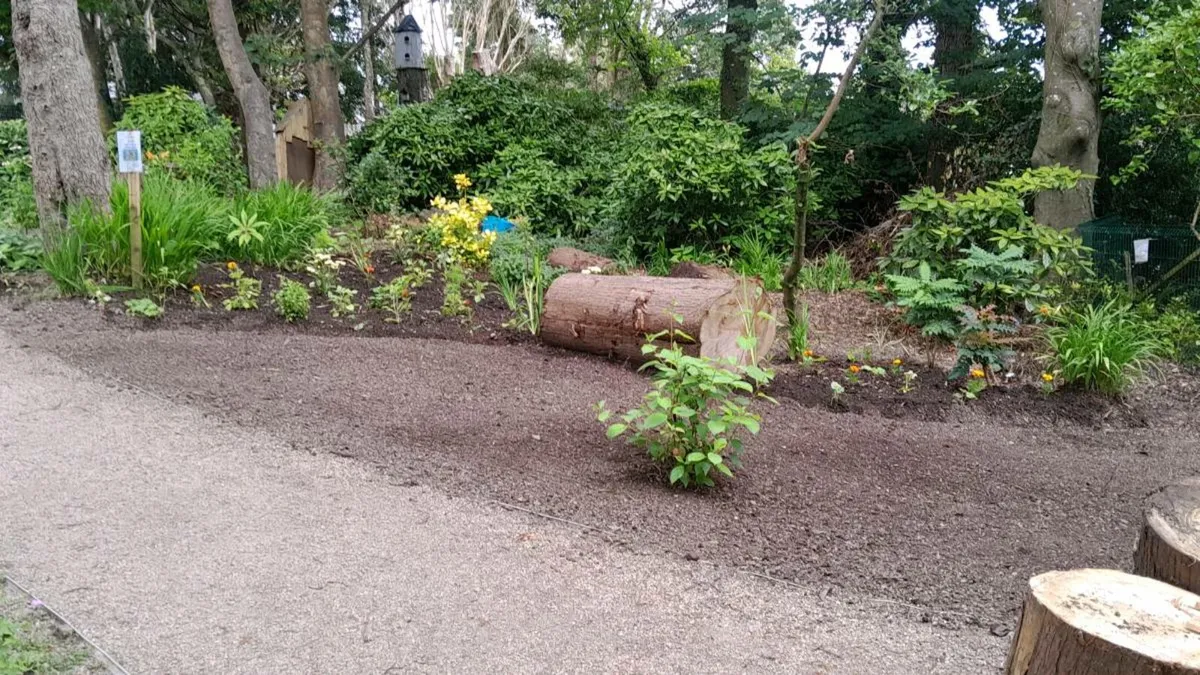 Lawn Care and Garden Maintenance - Image 2
