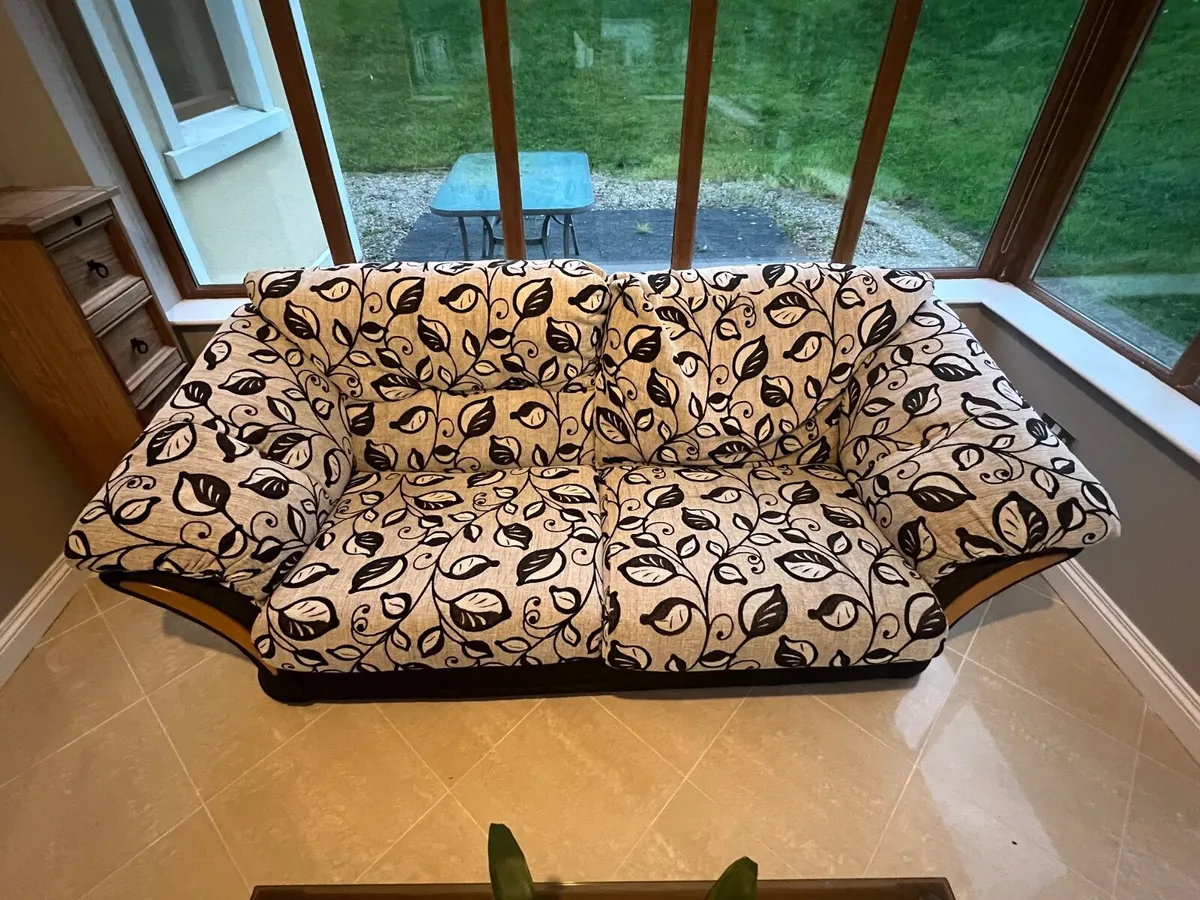 Sofa and Love Seat Set - Image 1