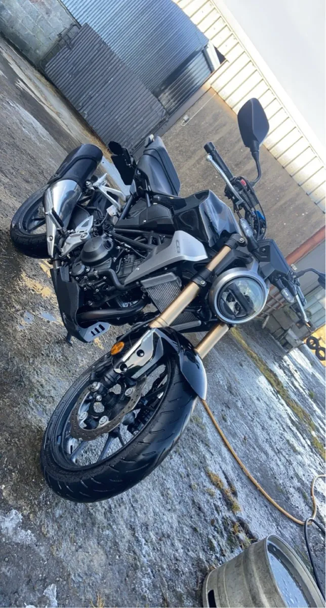 2020 Honda CB300R - Image 2
