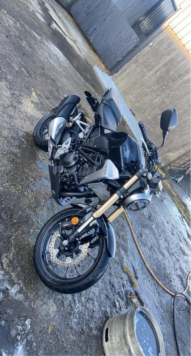 2020 Honda CB300R - Image 3