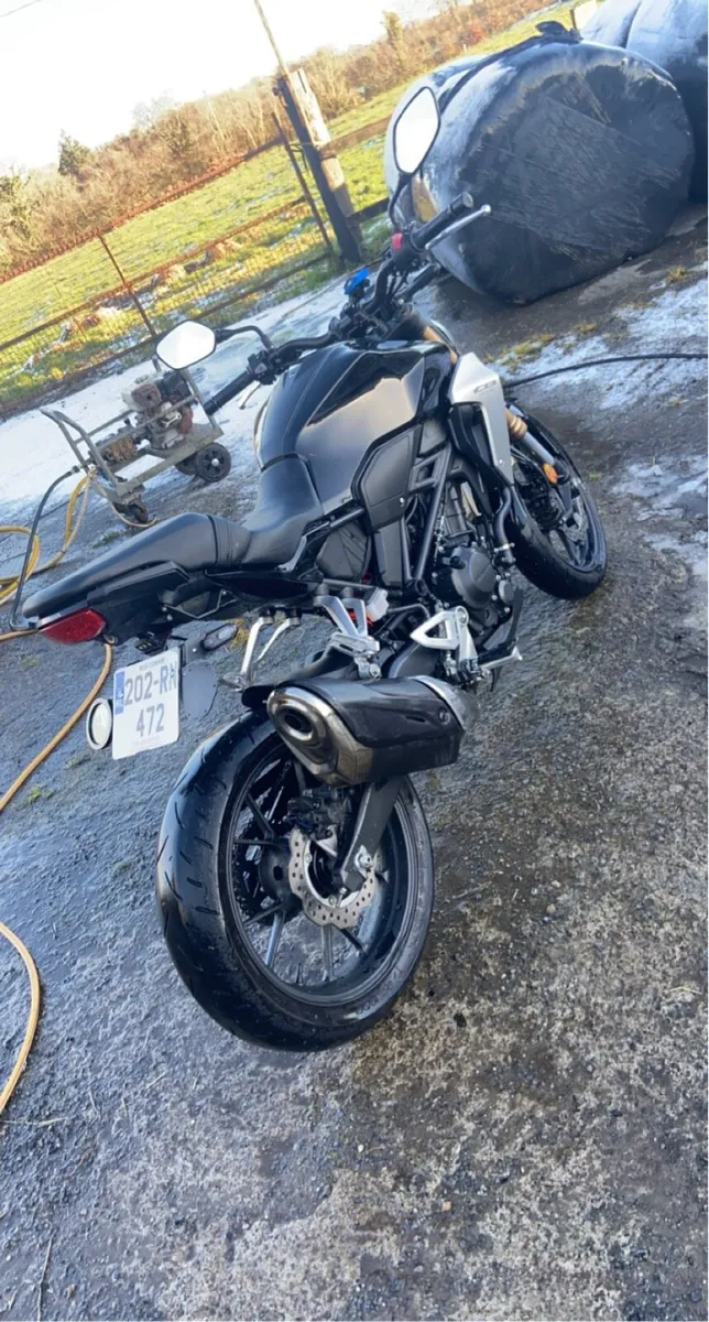 2020 Honda CB300R - Image 4