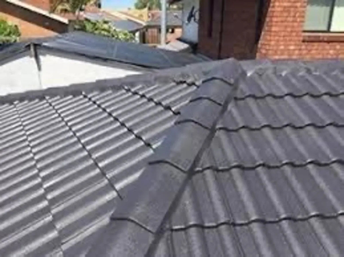 Roof/driveway paint - Image 1