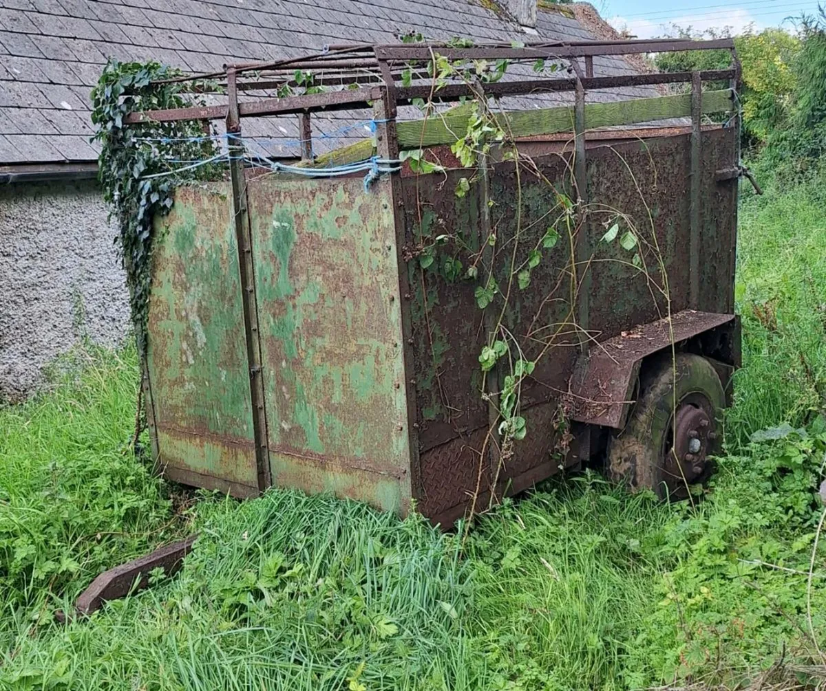 Trailer - Image 1