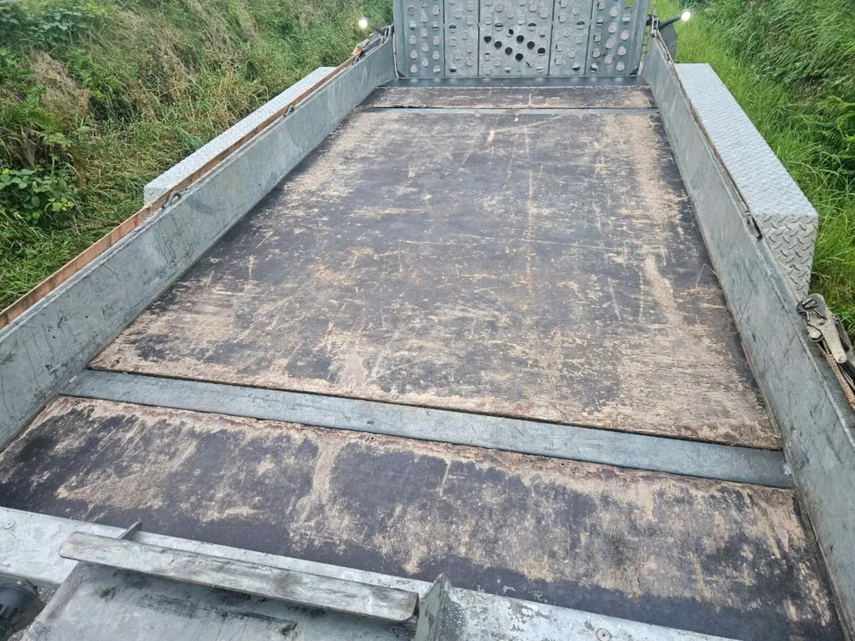 14x6 I forwilliams plant trailer - Image 4