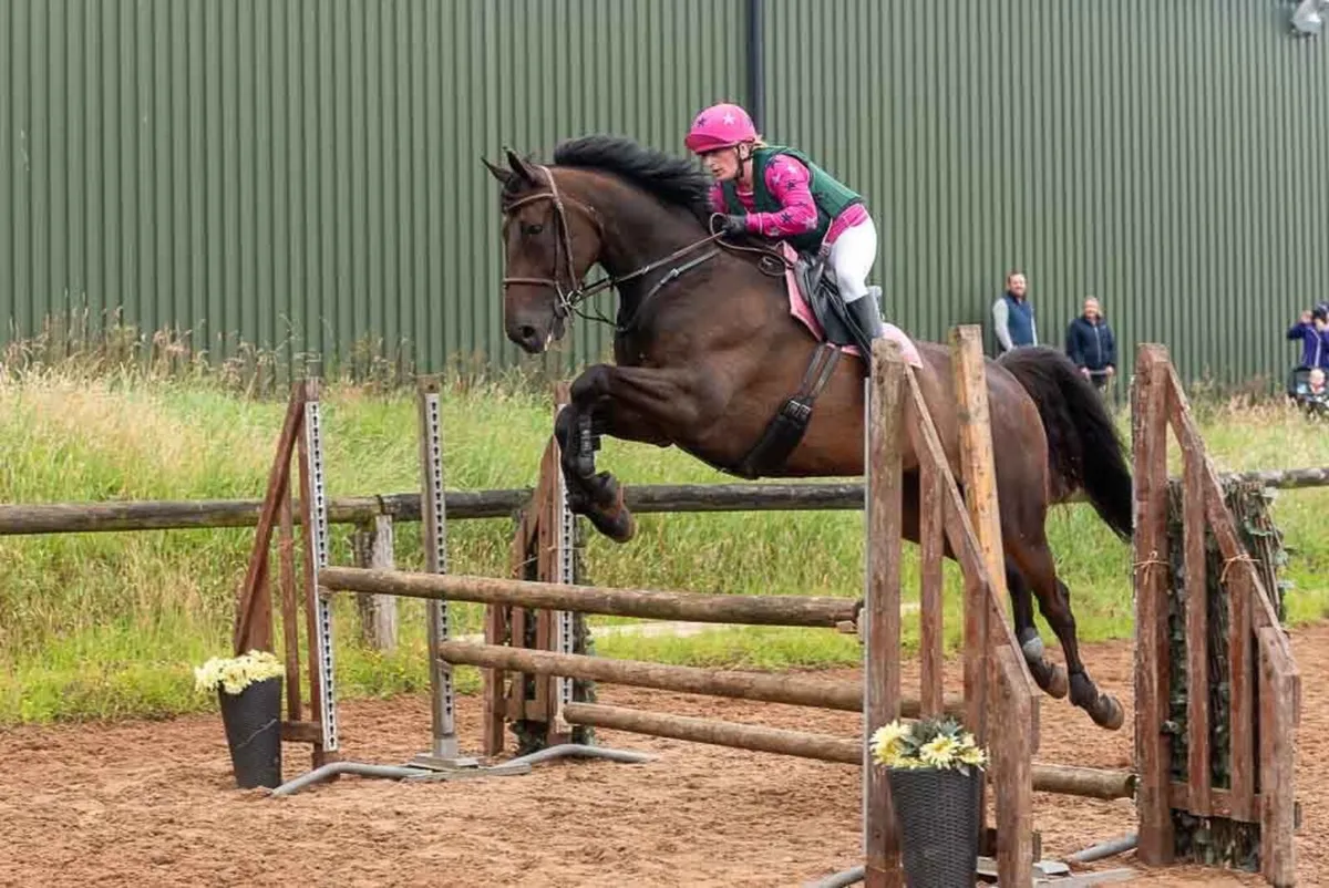 9 year old mare - Image 2