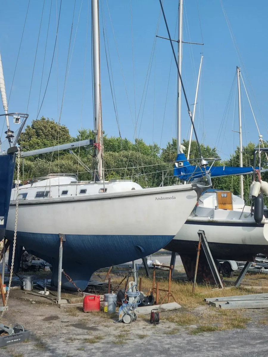 Contest 33 Yacht - Image 1