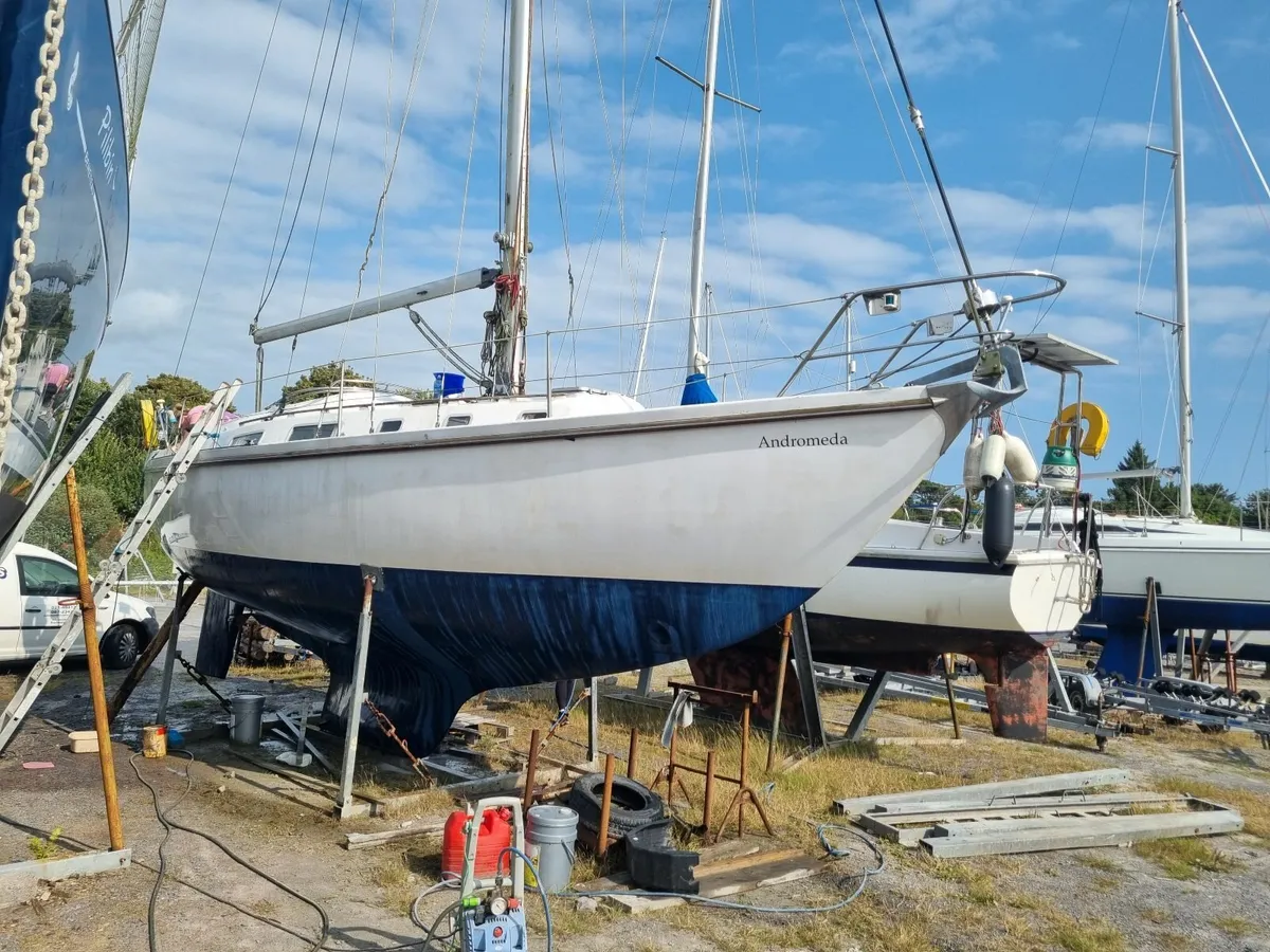 Contest 33 Yacht - Image 2
