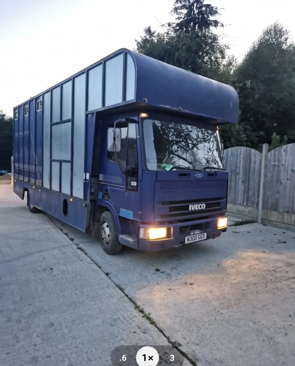 Iveco horse lorry camper - Image 1