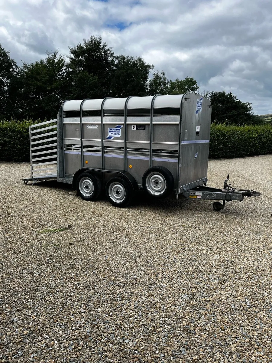 Ifor Williams 10x5 Livestock Trailer - Image 1