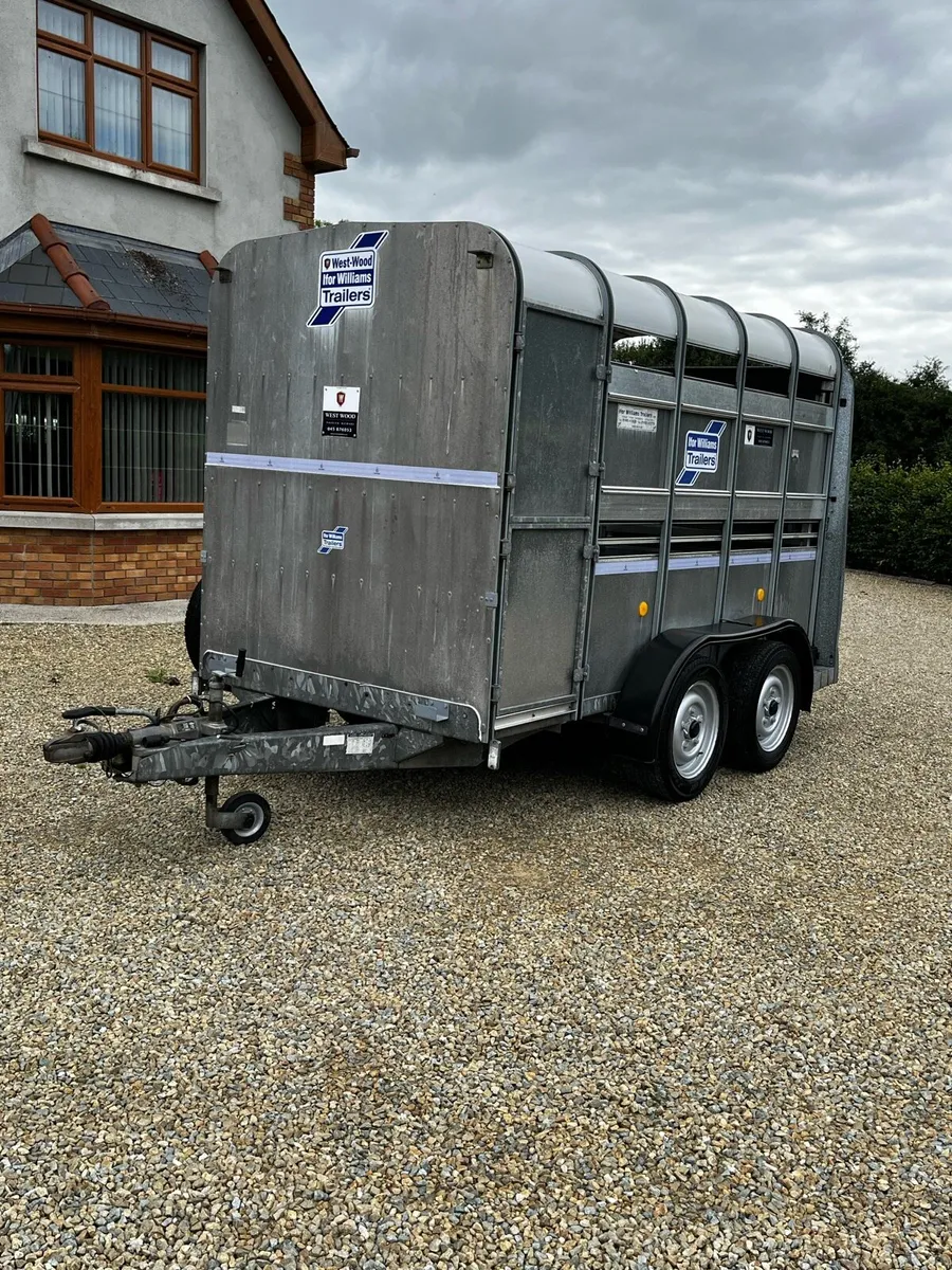 Ifor Williams 10x5 Livestock Trailer - Image 4