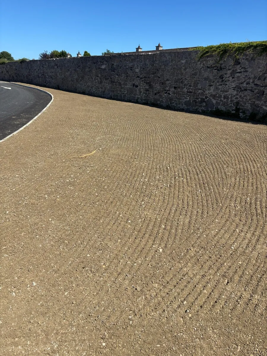 Lawn seeding - Image 3