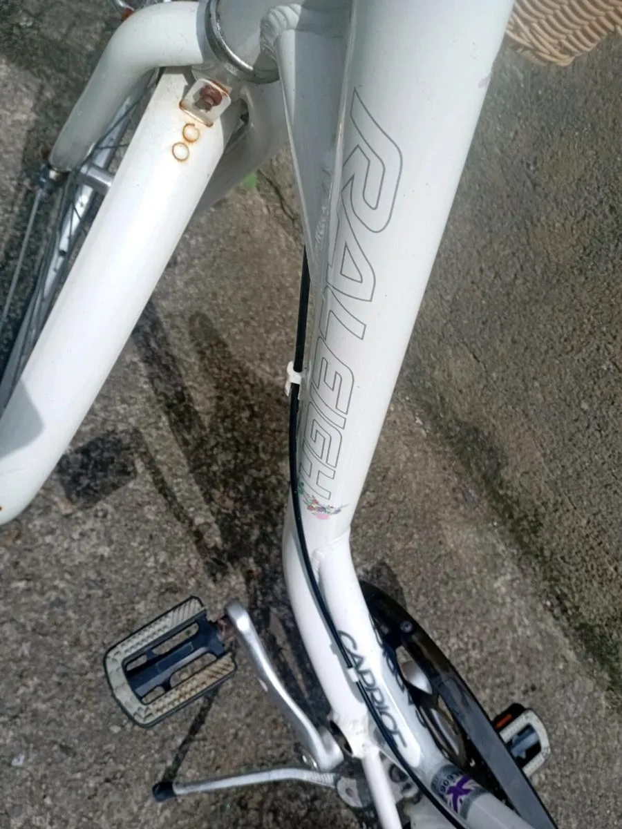 Adults bike - Image 2