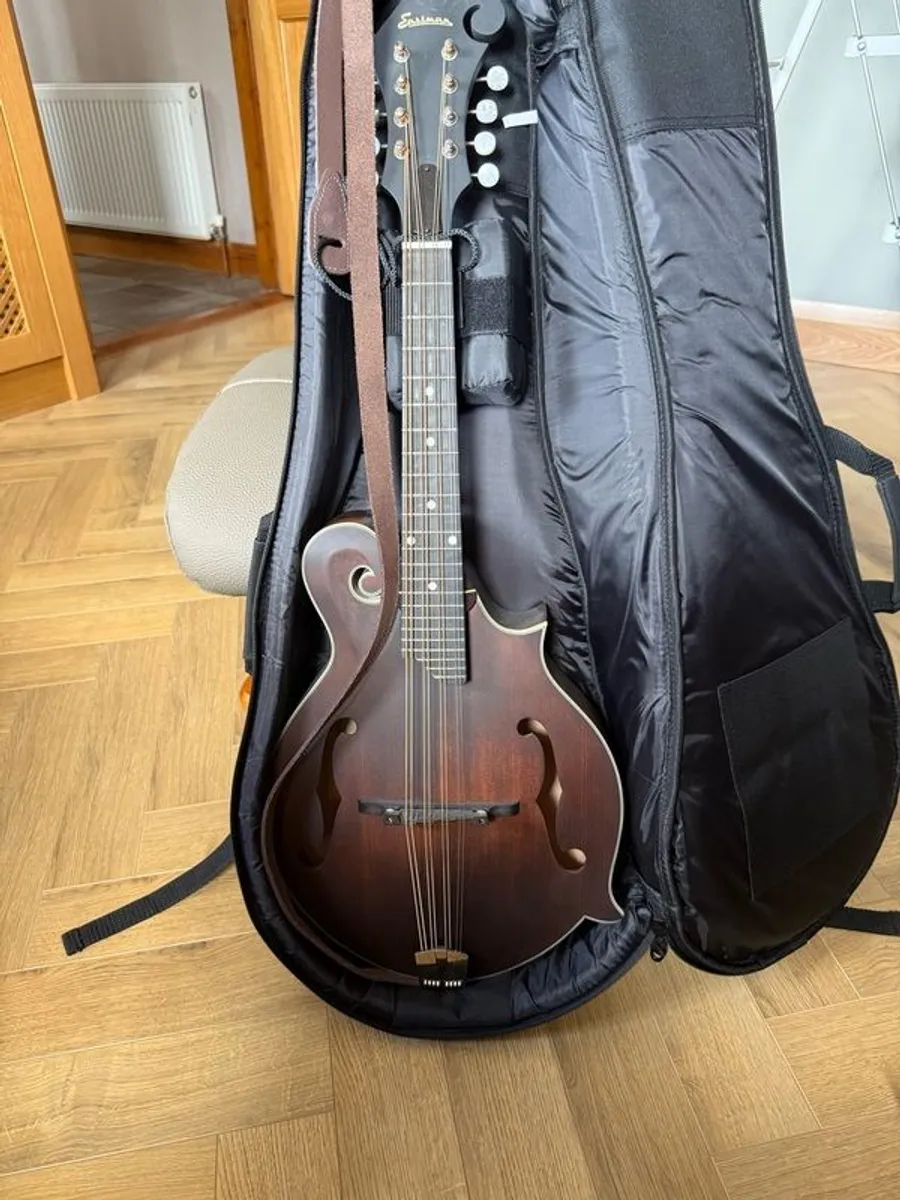 Eastman MD315 Mandola - Image 1