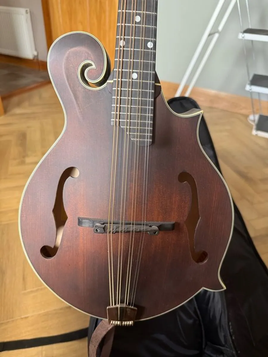 Eastman MD315 Mandola - Image 2