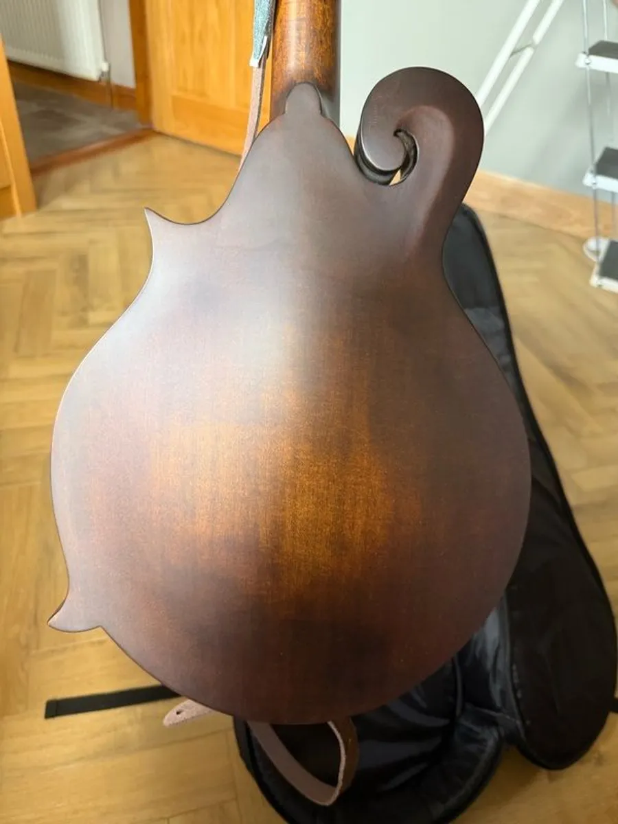 Eastman MD315 Mandola - Image 3
