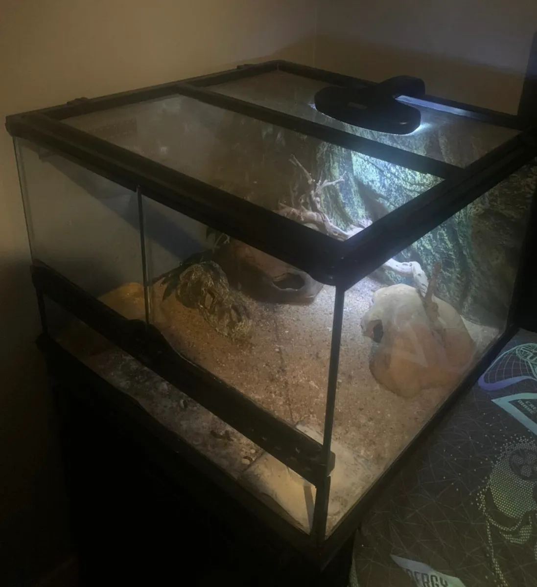 Reptile tank - Image 4