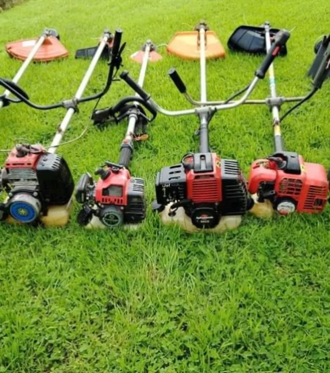 Strimmer - Image 1