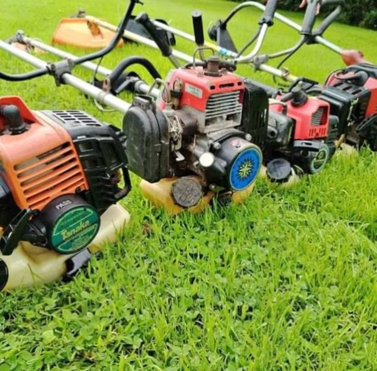 Strimmer - Image 3