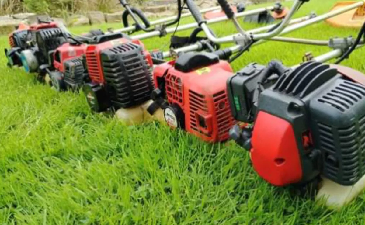 Strimmer - Image 4