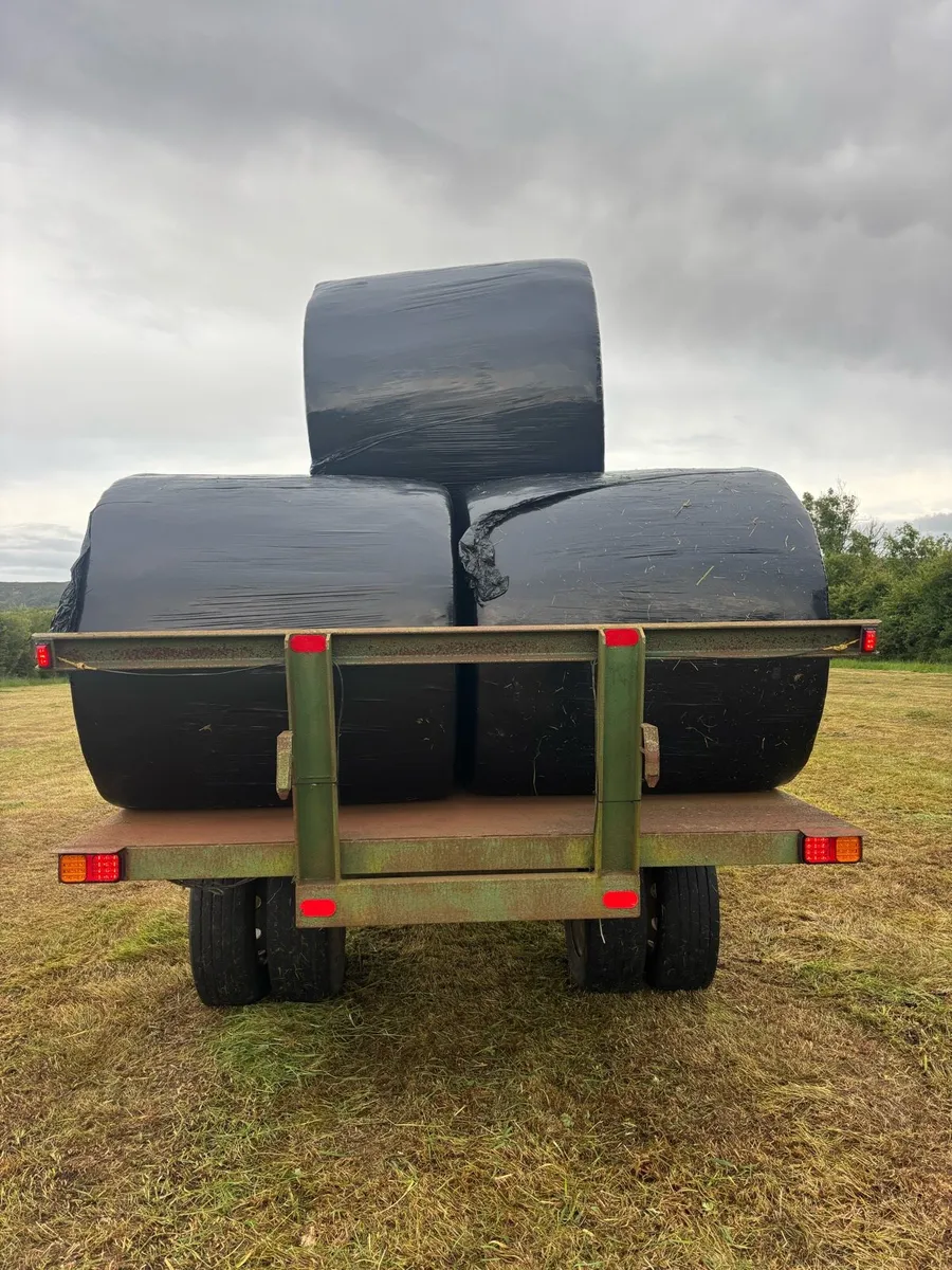 12x7 with bale extensions - Image 3