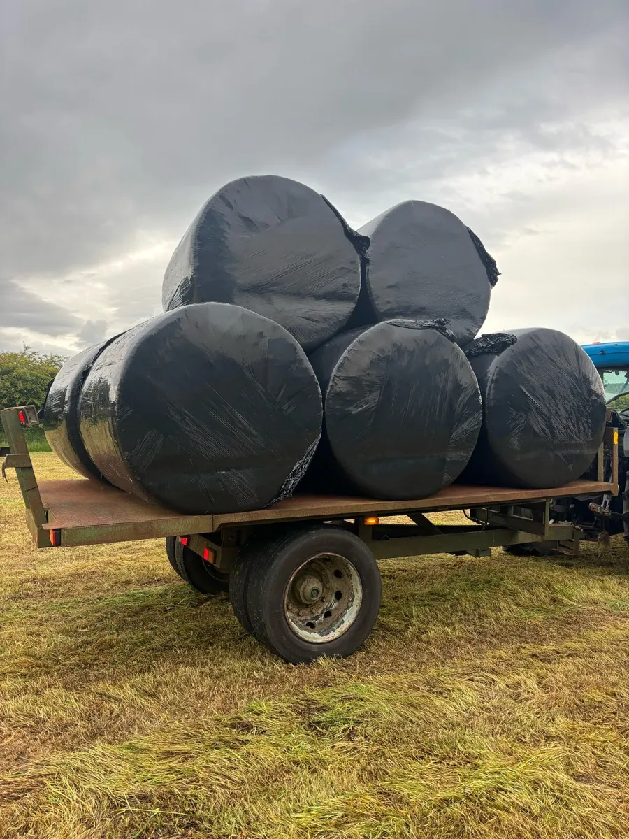 12x7 with bale extensions - Image 4