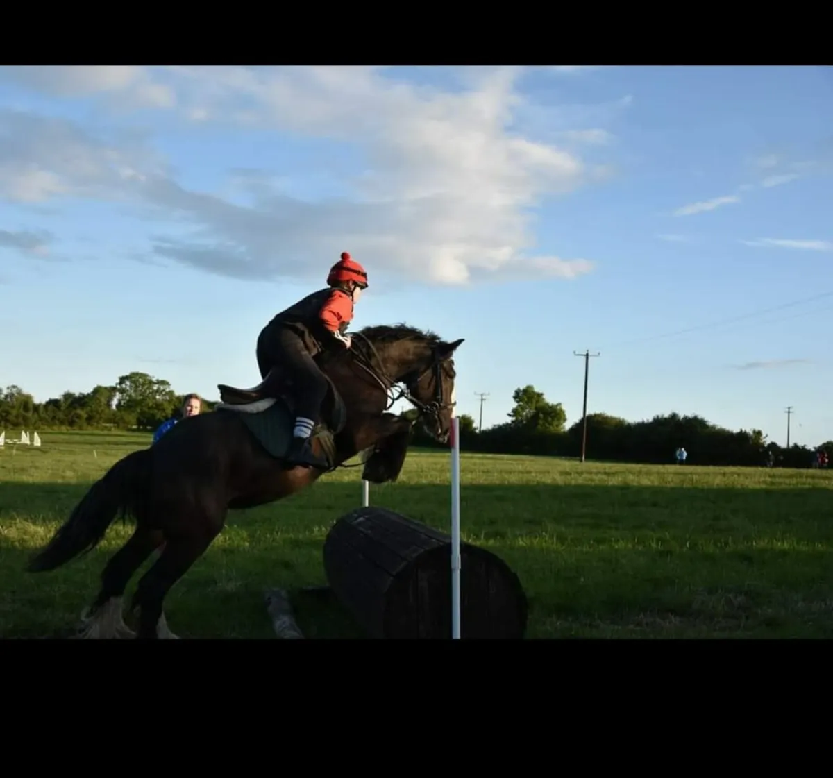 Cob - Image 1