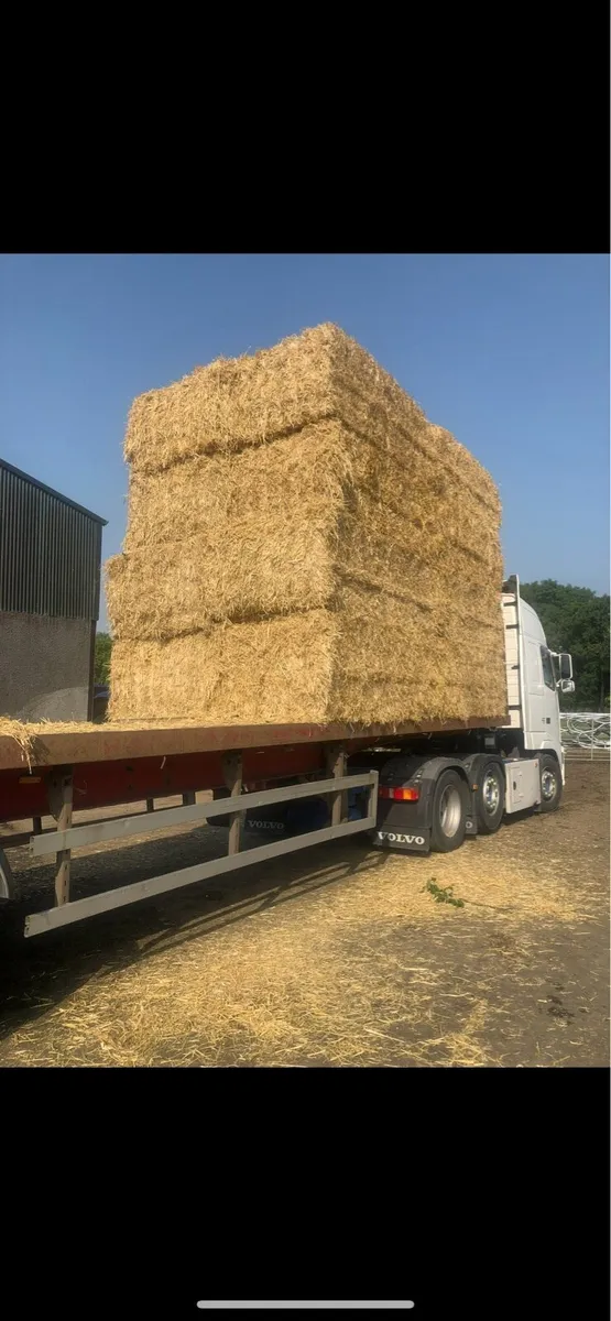 TOP QUALITY SPRING BARLEY STRAW - Image 3