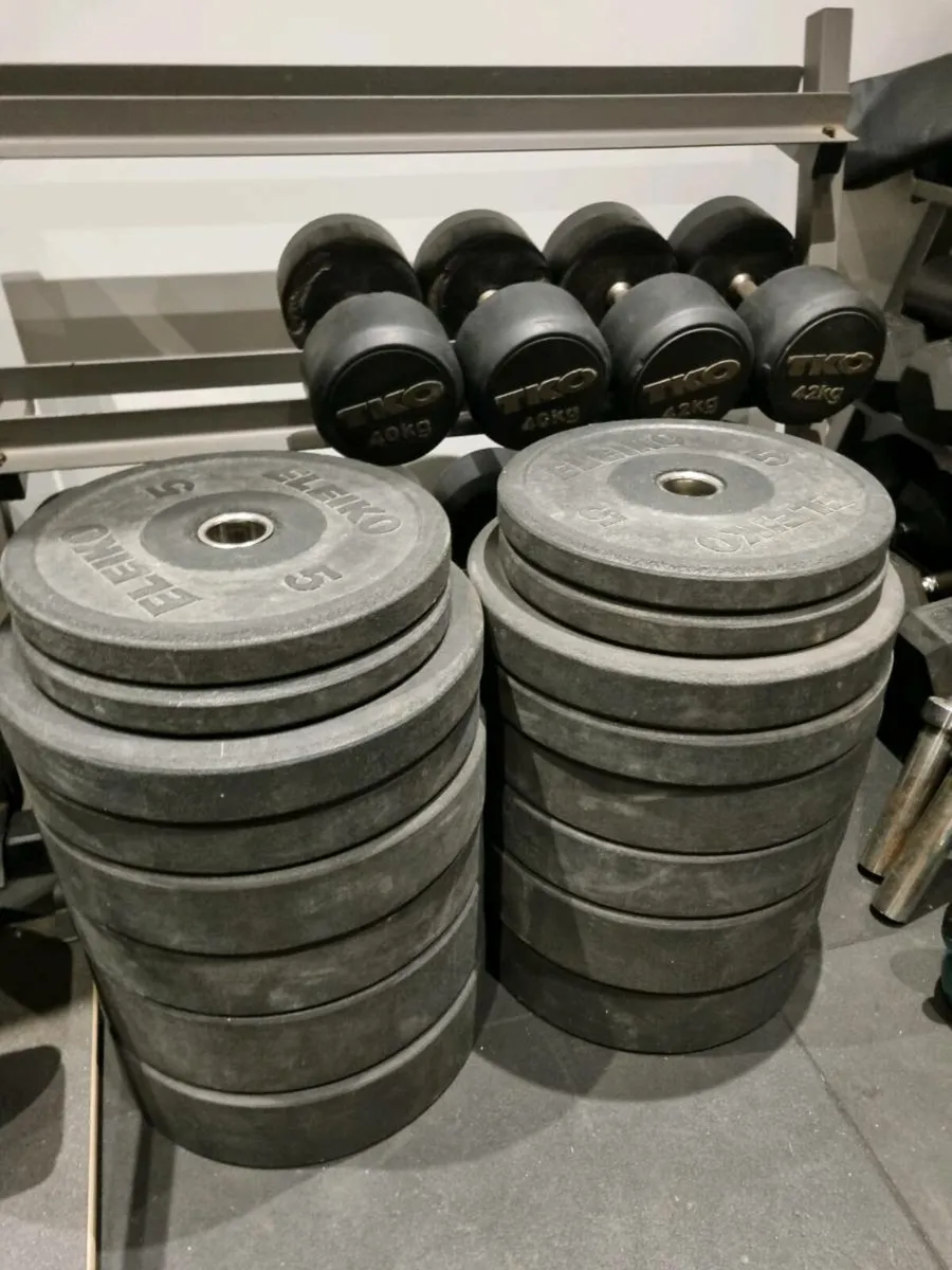 Eleiko Olympic Bumber Plates - Gym equipment - Image 1