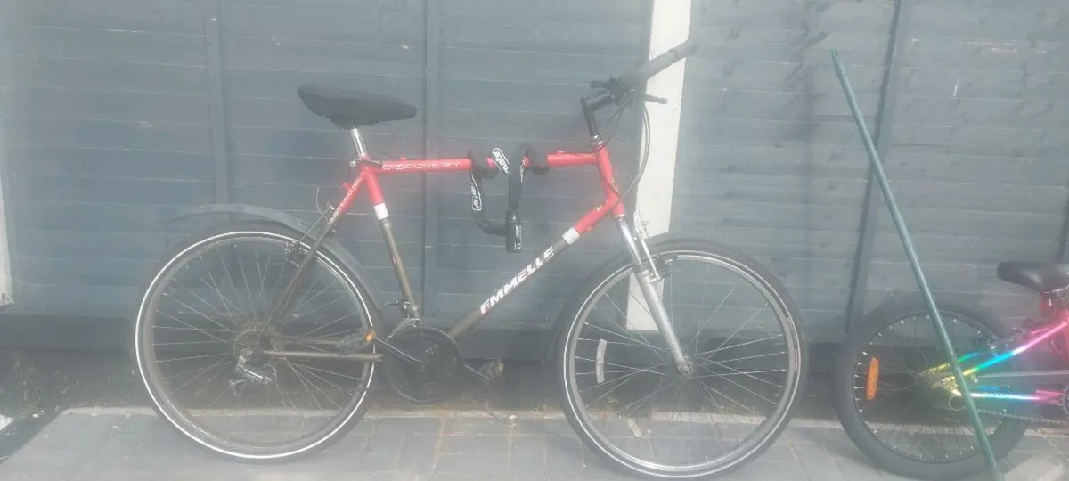 Adult Bike - Image 1