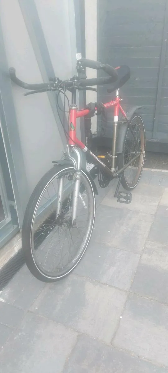 Adult Bike - Image 4