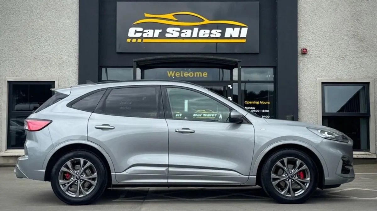 Ford Kuga 2.0 Ecoblue Mhev St-line Edition SUV 5d - Image 3