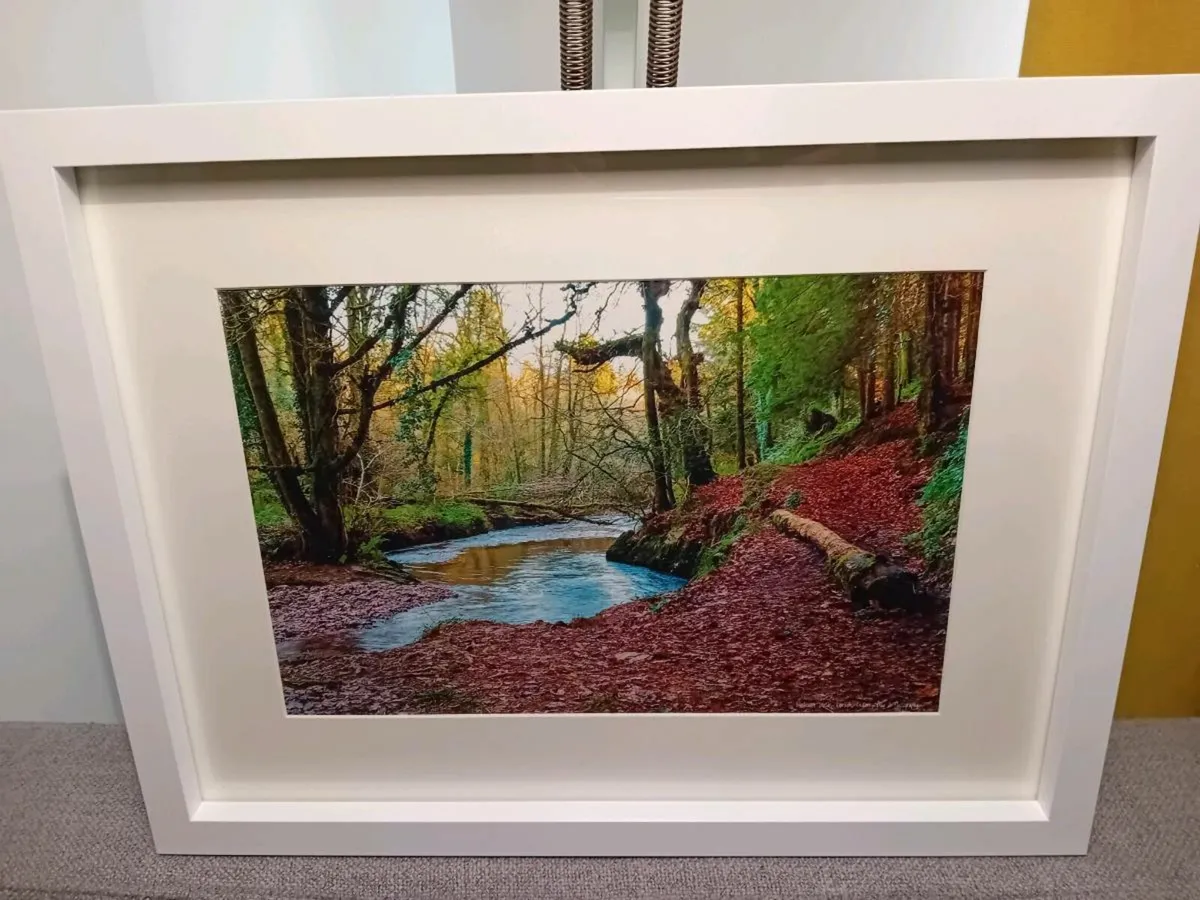 Glenbower Woods - Image 4