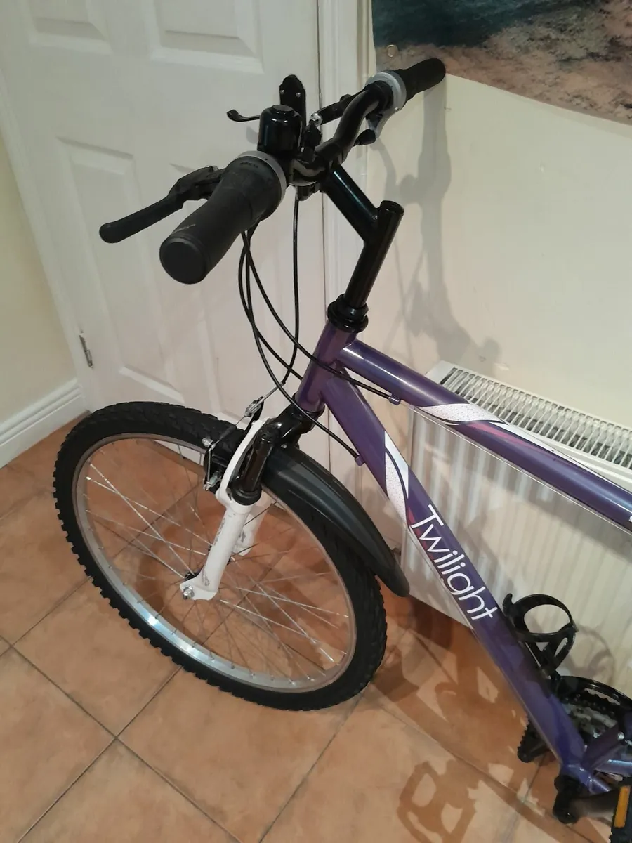 Bicycle - Image 4