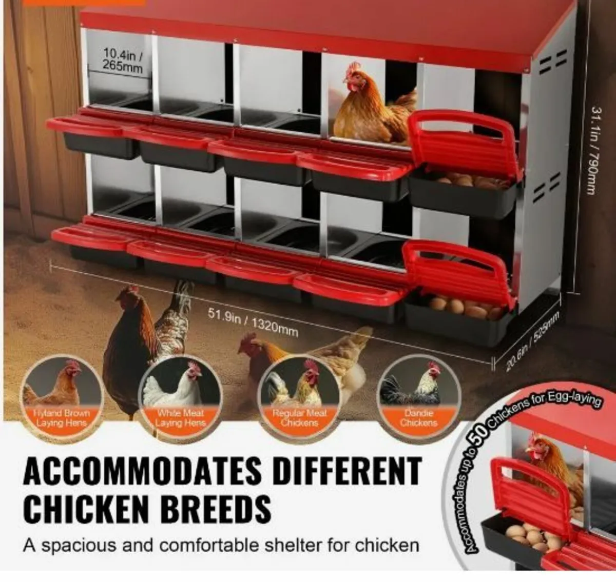 10-Compartment Chicken Nest Box - Image 4