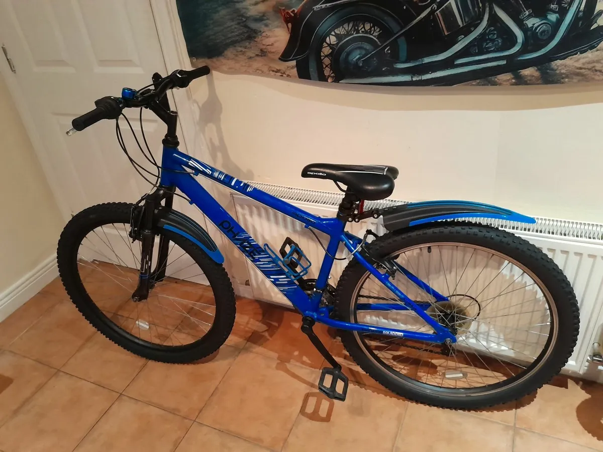 Bicycle - Image 1