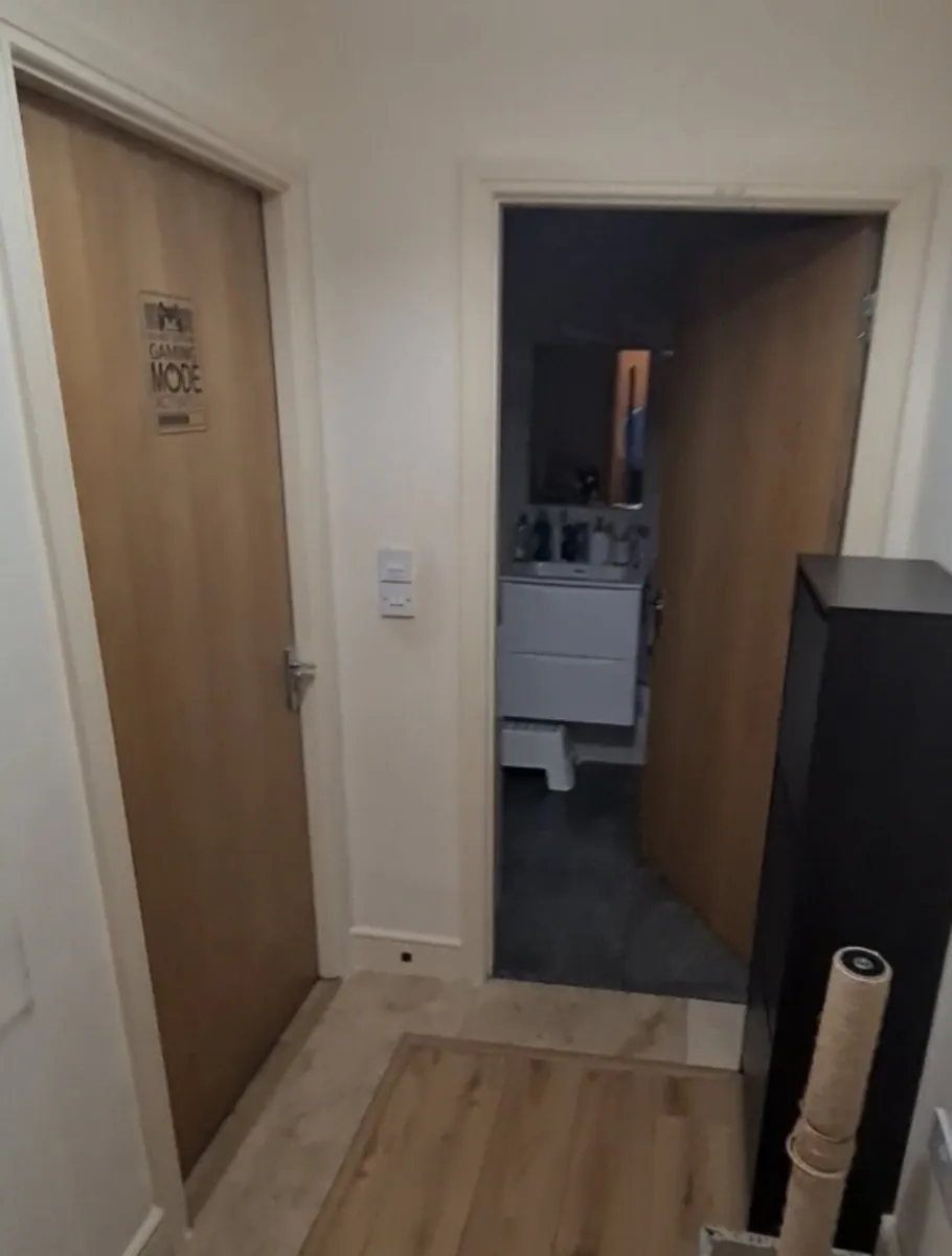 Doors - Image 3