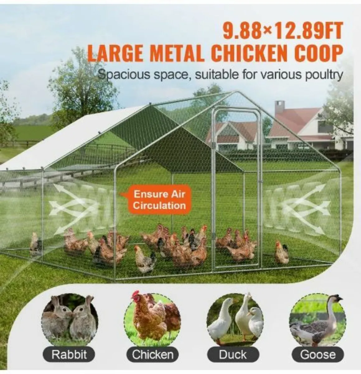 Metal Chicken Coop Walk-in Chicken - Image 3
