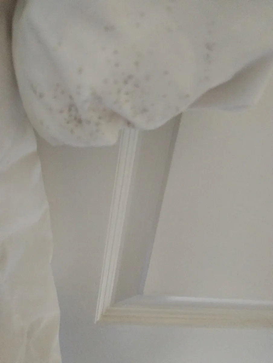Levi coat - Image 3