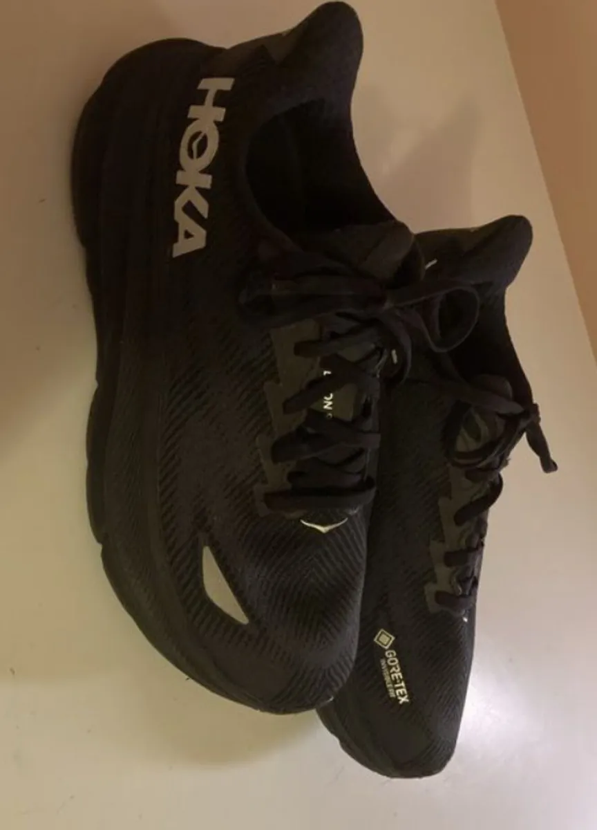 Gortex Walking Shoes - Image 1
