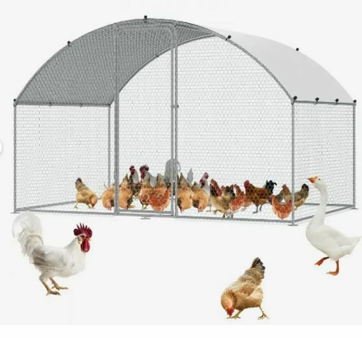 Chicken Coop, 3x1.97x1.99 m - Image 1