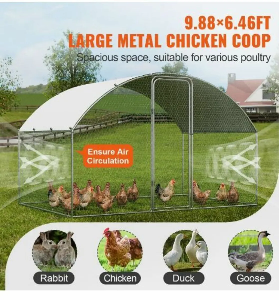 Chicken Coop, 3x1.97x1.99 m - Image 4