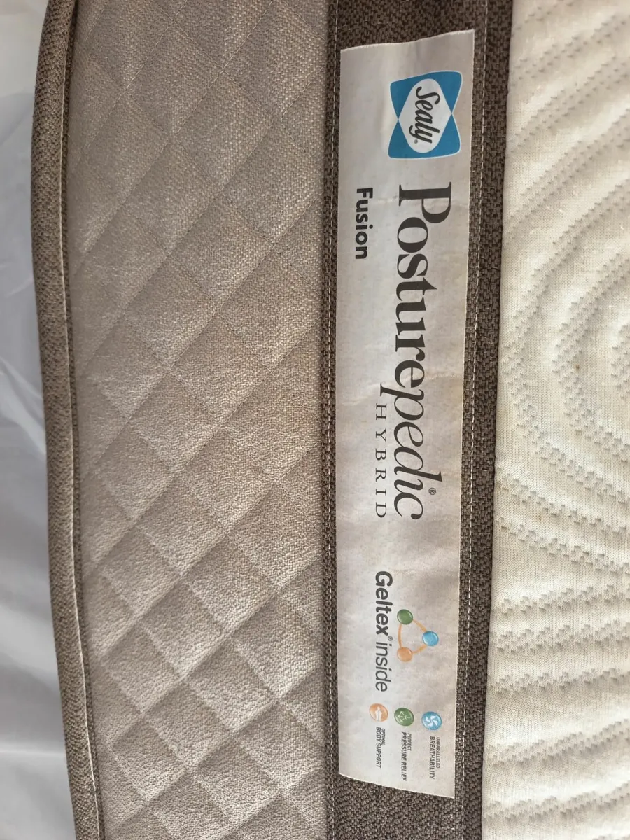 Sealy King Size Mattress