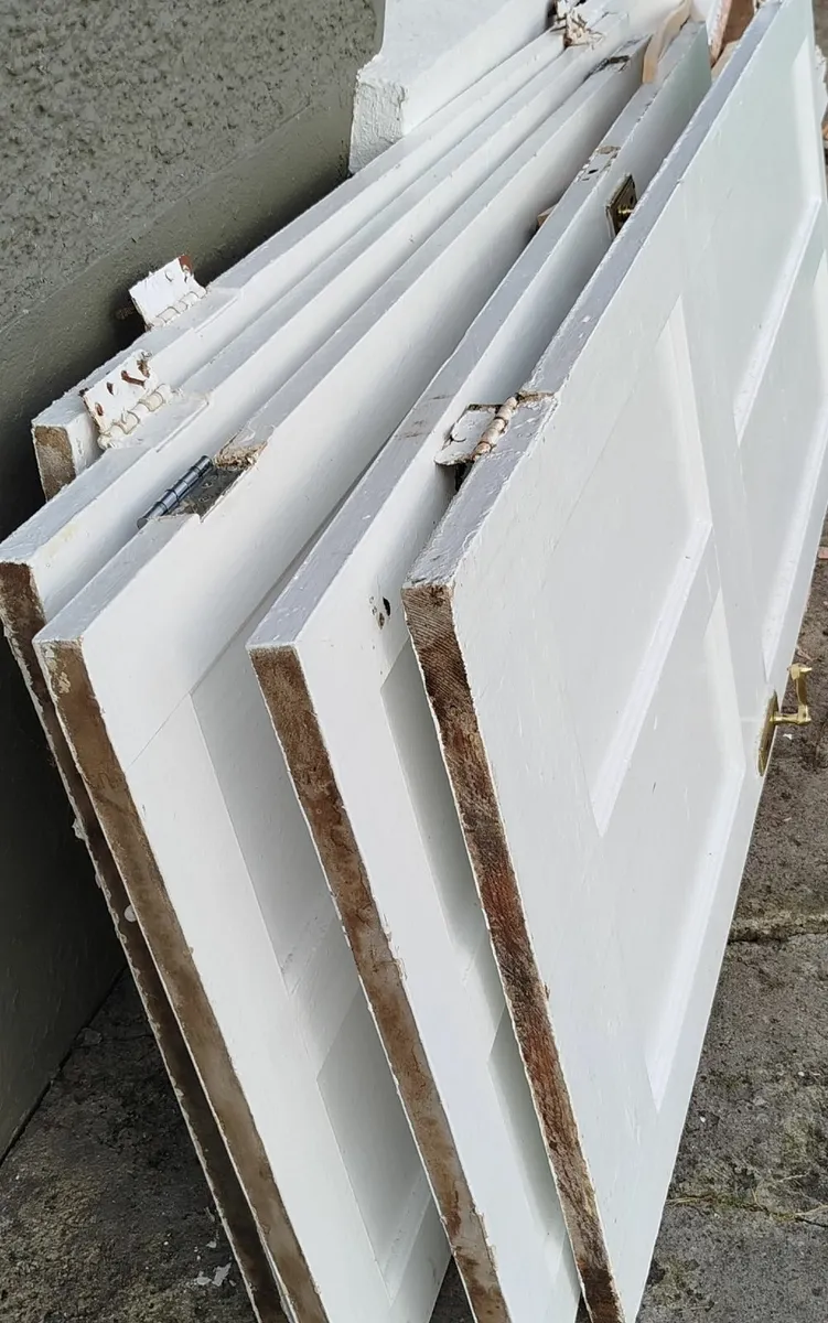Doors - Image 4