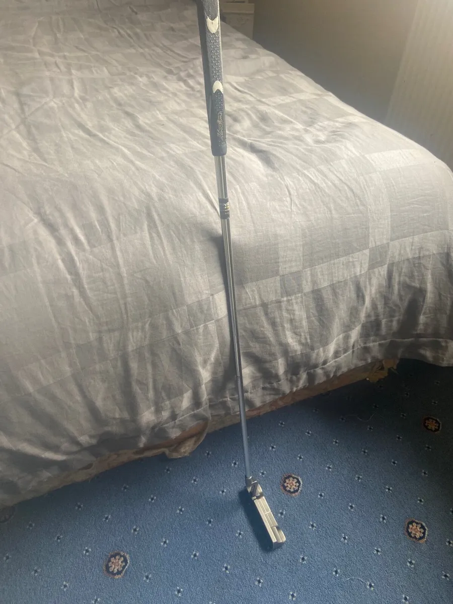Golf club - Image 4