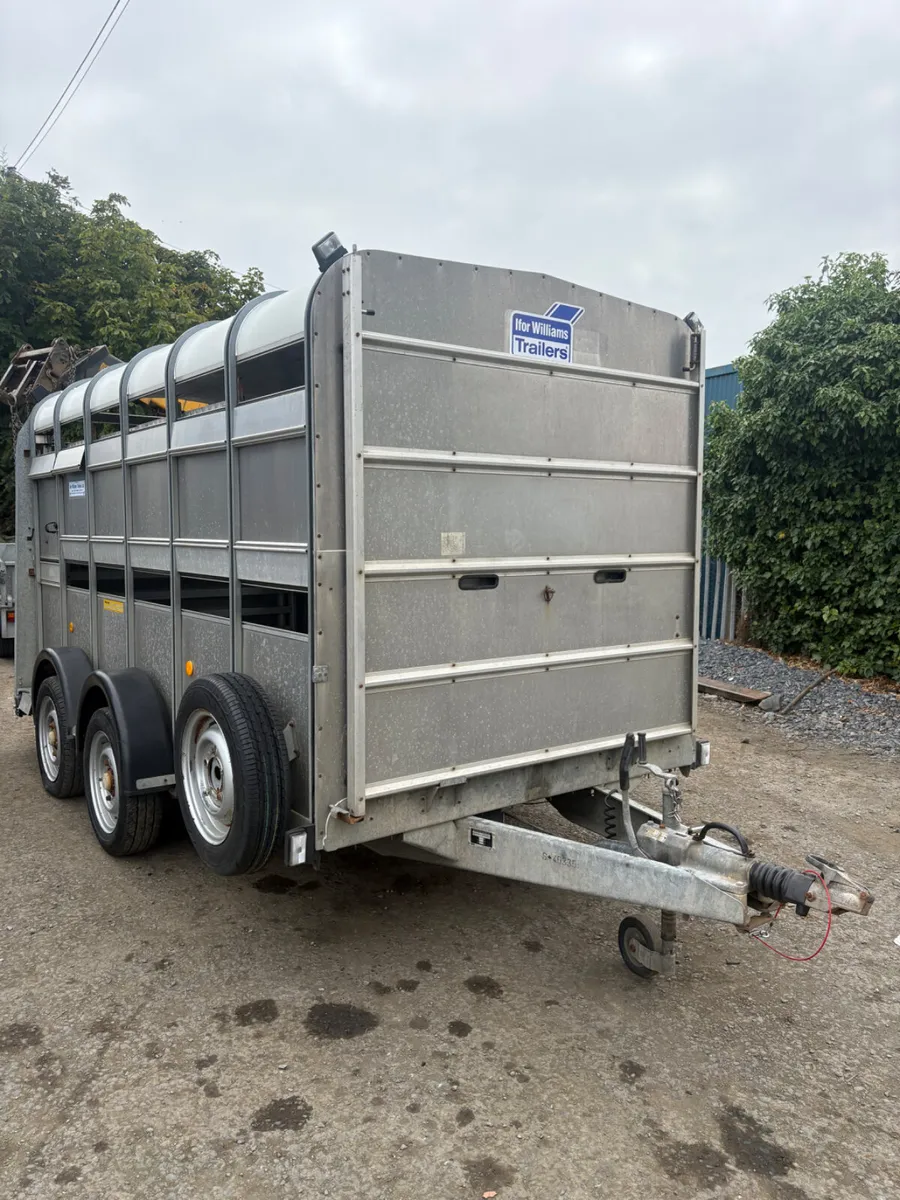 Ifor Williams 12ft cattle trailer - Image 1