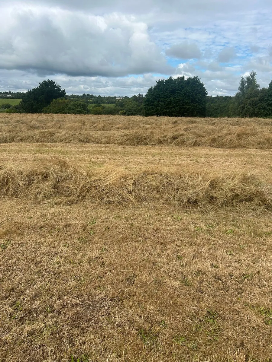 Haylage - Image 2