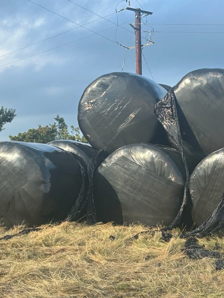 Haylage - Image 3